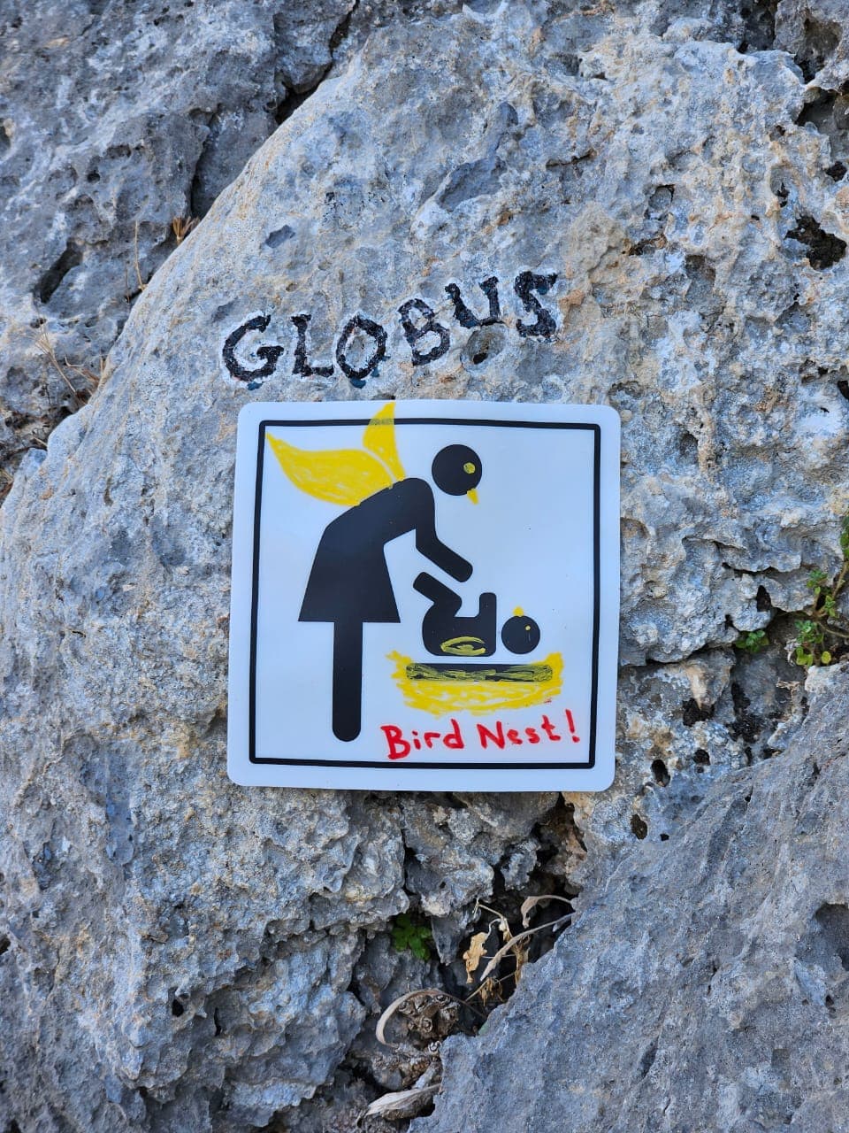 Bird's Nest sign at Globus